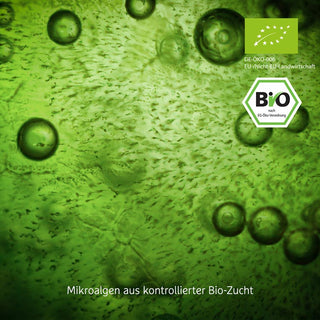 Mikroskopaufnahme grüner Mikroalgen aus Bio-Zucht mit EU-Bio-Siegel und EG-Öko-Verordnung-Logo