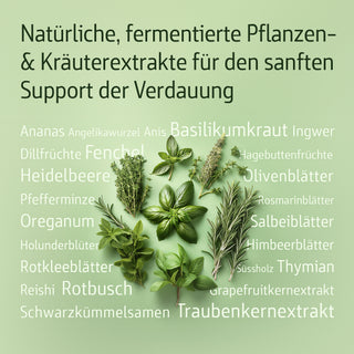 Infografik mit frischen Kräutern auf grünem Hintergrund und Text: fermentierte Pflanzen- & Kräuterextrakte für Verdauung