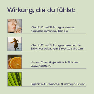 Infografik zu Effective Nature Supplement mit Vitamin C, Zink, Echinacea und Kalmegh auf hellgrünem Hintergrund