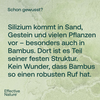 Infografik von Effective Nature: „Schon gewusst?" – Text über Silizium in Sand, Gestein und Bambus auf grünem Hintergrund.