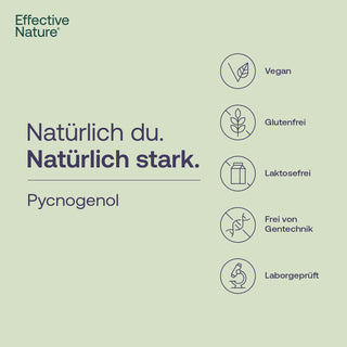 Effective Nature Pycnogenol Infografik mit Siegeln: Vegan, Glutenfrei, Laktosefrei, Frei von Gentechnik, Laborgeprüft