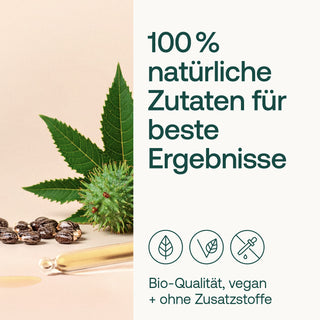 Infografik: Rizinussamen, Rizinuspflanze und Glasrohr mit Öl, Bio-, Vegan- und Zusatzstofffreiheits-Siegel