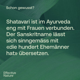 Infografik mit Text über Shatavari und dessen Sanskritname auf dunkelgrünem Pflanzenhintergrund, Effective Nature Logo
