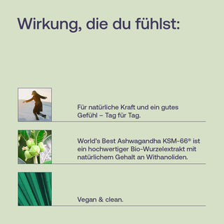 Infografik zu Ashwagandha KSM-66 mit Pflanzenmotiv, Person und grünem Blatt auf hellgrünem Hintergrund