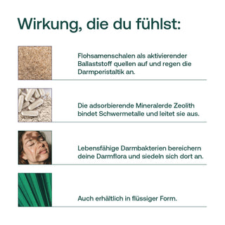 Infografik mit Text und Bildern zu Flohsamenschalen, Zeolith und Darmbakterien auf weißem Hintergrund
