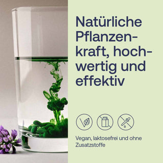 Infografik: Glas mit grüner Flüssigkeit, lila Blüten, Text „Natürliche Pflanzenkraft", Siegel vegan, laktosefrei, ohne...