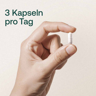 Hand hält eine weiße Kapsel, Text: 3 Kapseln pro Tag