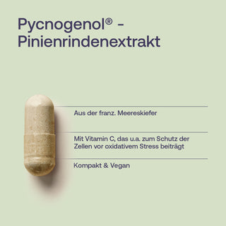 Pycnogenol Pinienrindenextrakt Kapsel in Beige auf hellgrünem Hintergrund, vegane Nahrungsergänzung mit Vitamin C