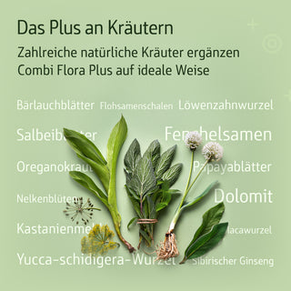 Infografik Combi Flora Plus: Kräuter wie Bärlauch, Salbei, Fenchel, Löwenzahn auf hellgrünem Hintergrund