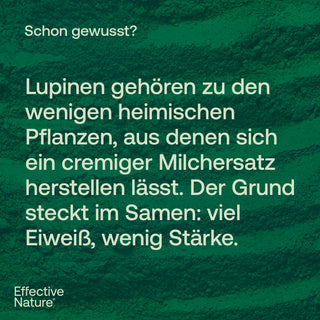 Infografik von Effective Nature auf dunkelgrünem Hintergrund mit Text über Lupinen als heimische Pflanze für Milchersatz