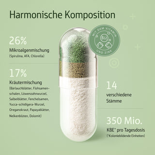 Infografik einer transparenten Kapsel mit grünem Pulver, Spirulina, AFA, Chlorella, Kräutern, B12- und Zink-Siegel