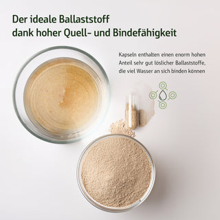 Infografik: Flohsamenschalen-Pulver in zwei Glasschalen und geöffnete Kapsel, Text zur Quell- und Bindefähigkeit