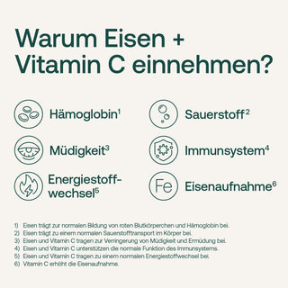 Infografik: Warum Eisen + Vitamin C einnehmen? – 6 Punkte mit Icons auf hellem Hintergrund