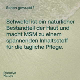 Infografik von Effective Nature: Schwefel als natürlicher Bestandteil der Haut, MSM als Inhaltsstoff für tägliche Pflege