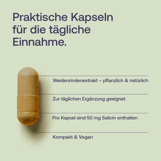Infografik: Weidenrindenextrakt-Kapsel in Braun auf hellgrünem Hintergrund, vegan, 50 mg Salicin pro Kapsel