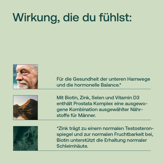 Infografik Prostata Komplex mit Text, Foto eines älteren Mannes, Berglandschaft und Pflanzenmotiv auf hellgrünem Hintergrund