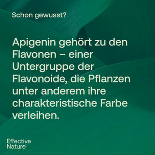 Infografik mit Text über Apigenin und Flavonoide auf dunkelgrünem Pflanzenhintergrund, Effective Nature Logo