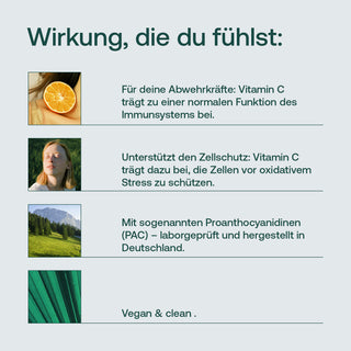 Infografik zu Vitamin C mit Proanthocyanidinen, vegan & clean, hergestellt in Deutschland