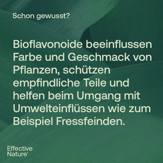 Infografik mit Text über Bioflavonoide auf dunkelgrünem Pflanzenhintergrund, Effective Nature Logo