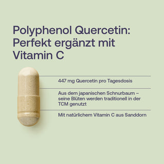 Infografik: Quercetin-Kapsel in Beige auf hellgrünem Hintergrund mit Text zu Quercetin und Vitamin C aus Sanddorn