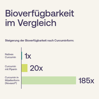 Infografik: Bioverfügbarkeit im Vergleich – Natives Curcumin, Curcumin mit Piperin und Novasol® Mizellenform