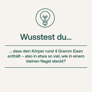 Infografik mit Glühbirnen-Icon und Text „Wusstest du… dein Körper enthält rund 4 Gramm Eisen" auf hellem Hintergrund