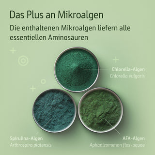 Infografik zu Mikroalgen-Pulver: drei Schalen mit Chlorella vulgaris, Spirulina (Arthrospira platensis) und AFA-Algen...