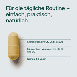 Goldgelbe Kapsel mit Infografik-Text zu Coenzym Q10, Folsäure, Vitaminen B3, B6, B12, vegan