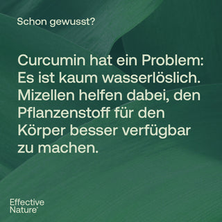 Infografik von Effective Nature mit Text über Curcumin und Mizellen auf grünem Blätter-Hintergrund