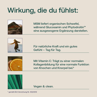 Infografik zu MSM, Glucosamin, Phytodroitin und Vitamin C mit Hinweis auf vegane Rezeptur