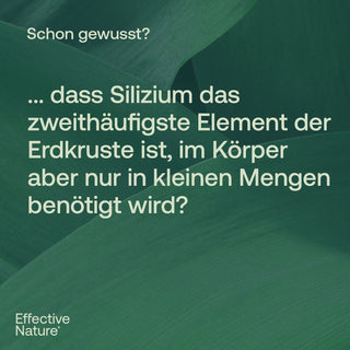 Infografik mit Text über Silizium auf grünem Pflanzenhintergrund, Effective Nature Logo sichtbar