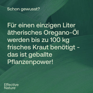 Infografik mit Text über ätherisches Oregano-Öl auf dunkelgrünem Pflanzenhintergrund, Effective Nature Logo