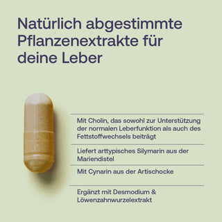 Infografik: Braune Kapsel auf hellgrünem Hintergrund mit Text zu Cholin, Silymarin, Cynarin, Desmodium und...